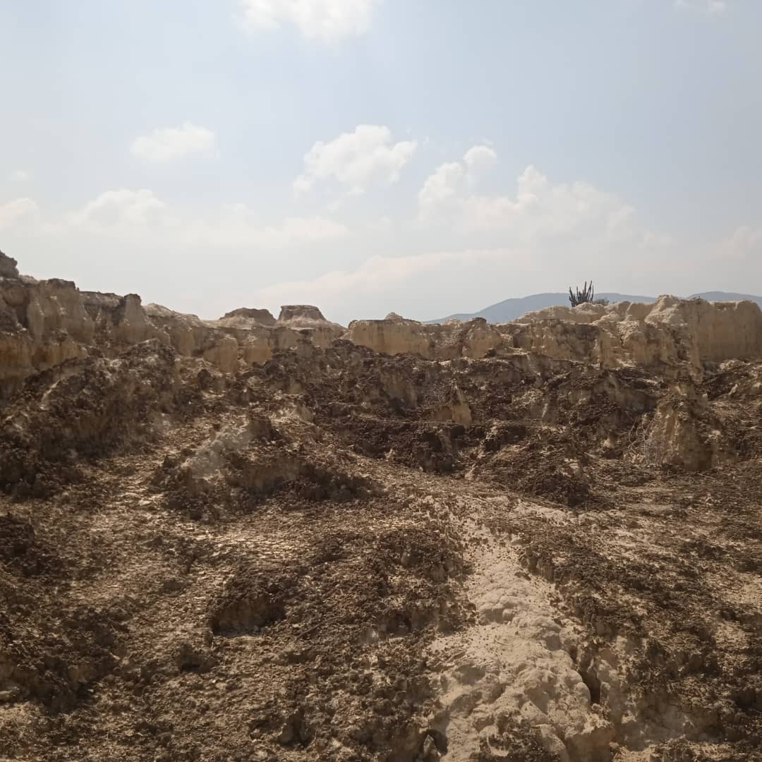 Estudiantes de Turismo impulsan campaña de concienciación sobre las Cárcavas de Quíbor